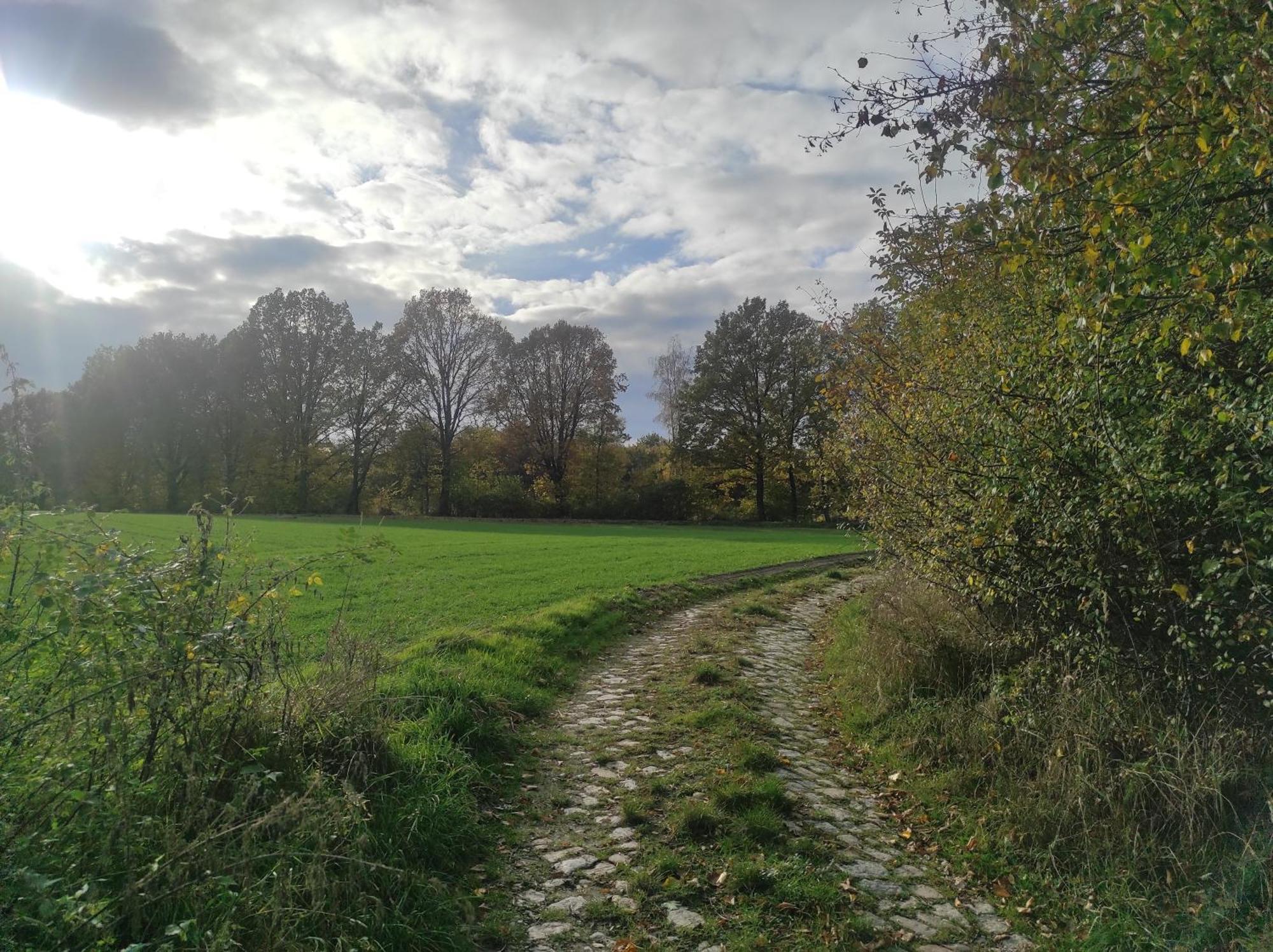 Lazurowa Prowansja - Agroturystyka Villa Toscana ブンツラウ エクステリア 写真